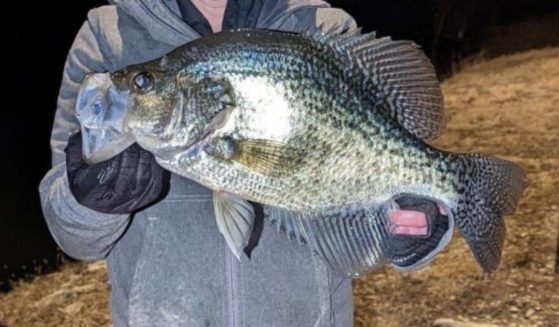 A Kansas angler claimed he caught a record-breaking crappie.