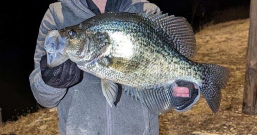 A Kansas angler claimed he caught a record-breaking crappie.