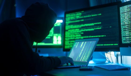 A Ukranian national pleaded guilty to his role in two malware schemes which the Department of Justice said involved tens of millions of dollars in losses.