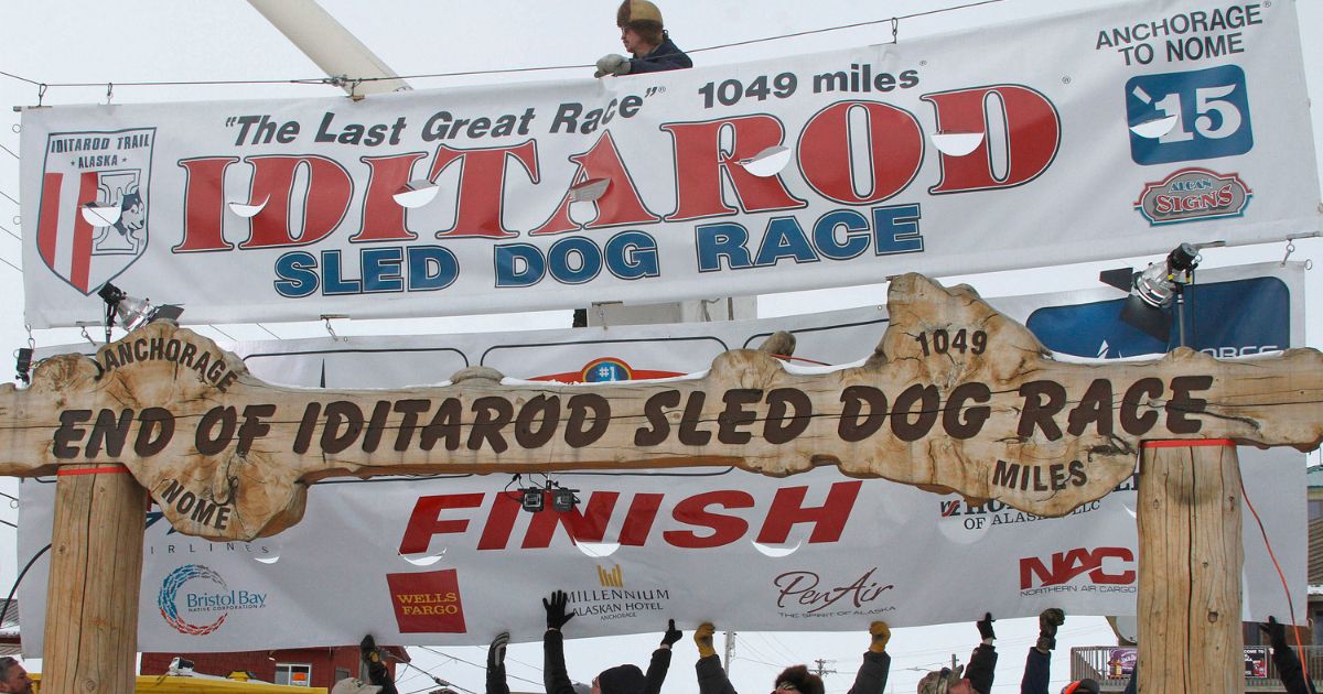 volunteers raising the Iditarod finishers banner