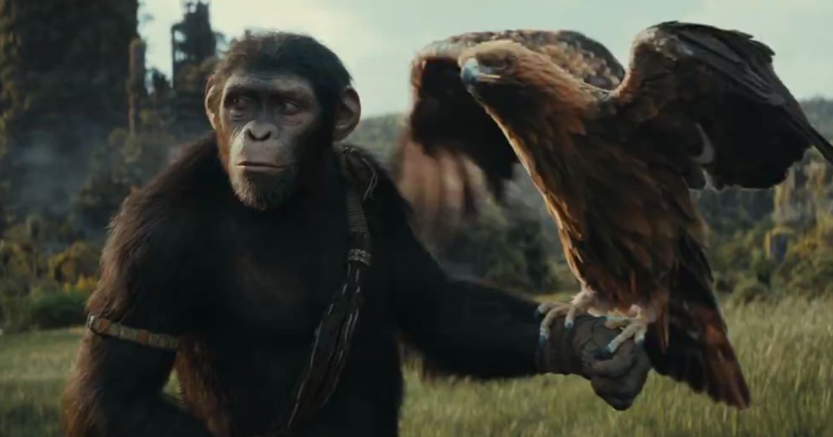 A shot of a CGI character from the upcoming film "Kingdom of the Planet of the Apes."