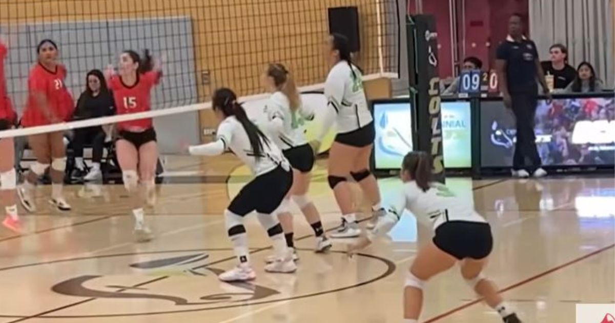 A recent women's college volleyball game in Toronto between the Centennial Colts and the Seneca Sting reportedly included five transgender male players - two on the Colts and three on the Sting.