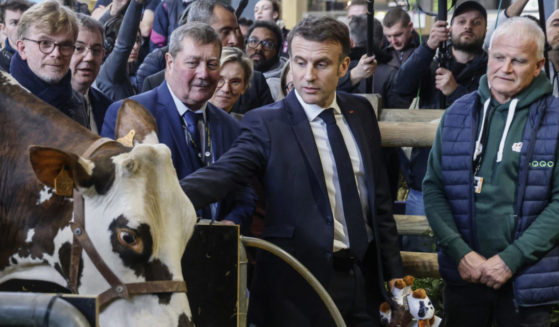 Emmanuel Macron visiting the International Agriculture Fair in Paris