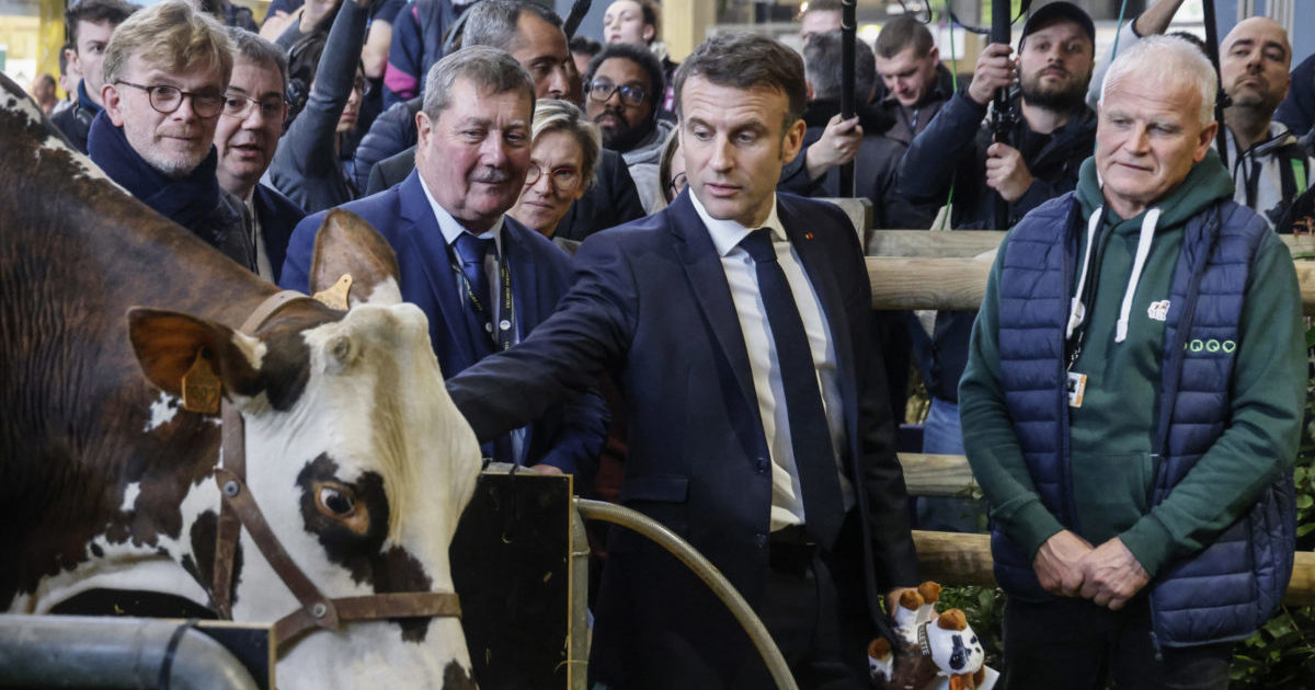 Emmanuel Macron visiting the International Agriculture Fair in Paris