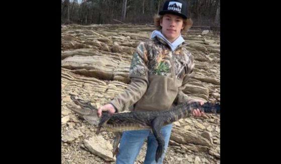 Wildlife officials received a call on Monday evening informing them that an angler had caught an alligator in Norris, Tennessee, in the eastern part of the state.
