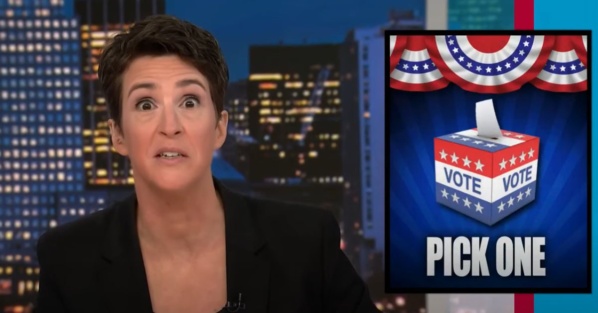 Rachel Maddow appears on MSNBC.