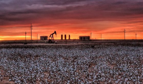 An undated stock photo shows a cotton field in Midland, Texas, with a pump jack in the background at sunrise.