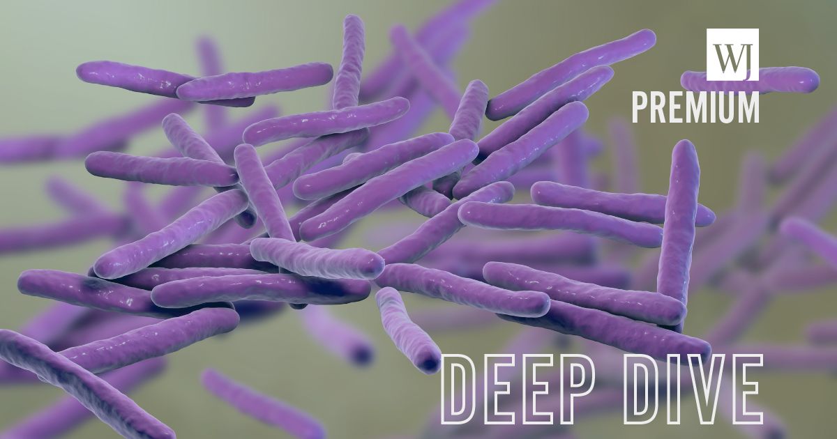 The bacteria that causes leprosy is seen in the above stock image.