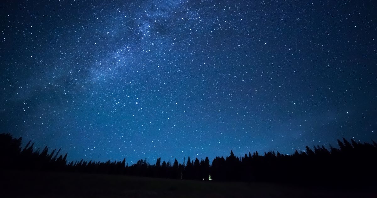 Stars in the night sky over a field of trees in Yellowstone Park.