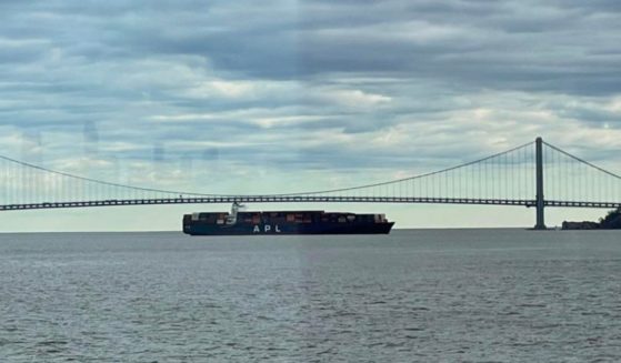 A massive container ship lost power Friday as it was heading out to sea in the shipping lane between Staten Island and Bayonne, New Jersey.