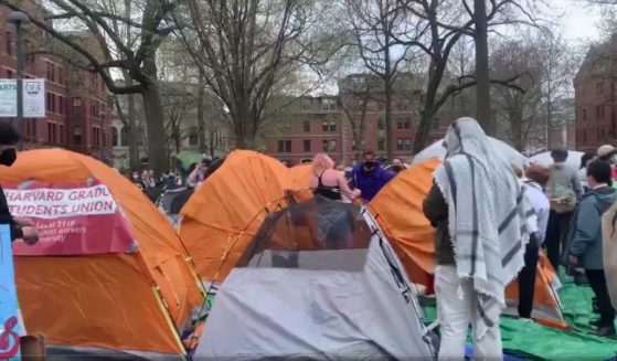 Pro-Hamas protesters erect a tent city at Harvard University.