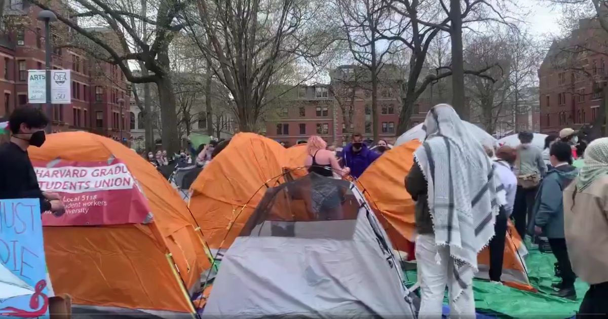 Pro-Hamas protesters erect a tent city at Harvard University.