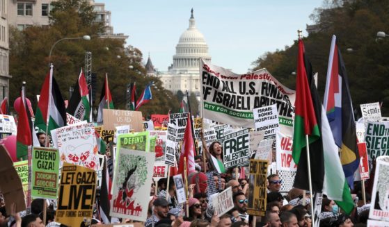Protesters gather in Freedom Plaza during the National March on Washington, calling for a ceasefire between Israel and Hamas on Nov. 4, 2023 in Washington, D.C.