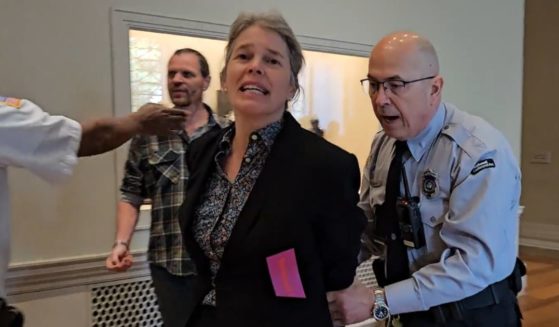 A climate activist is arrested at the National Gallery of Art in Washington.