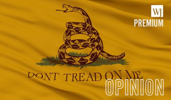The Gadsden flag is seen in the above stock image.