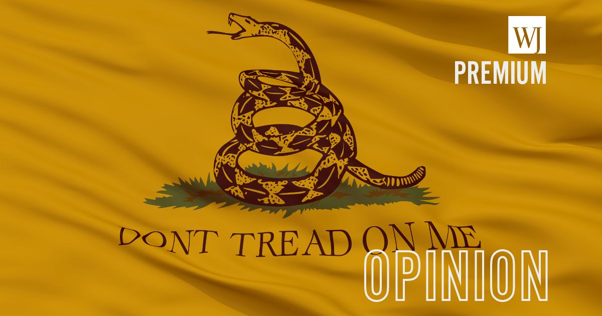 The Gadsden flag is seen in the above stock image.
