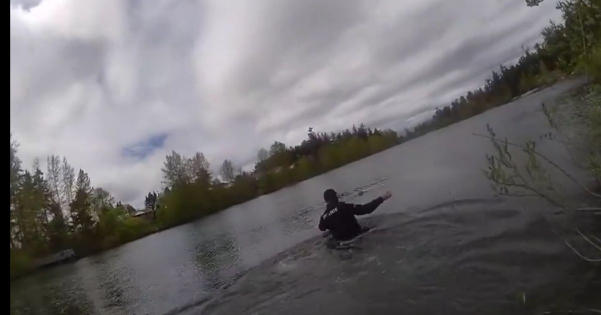 Tacoma Lake Police officers jump into the water to save a teenage girl from drowning