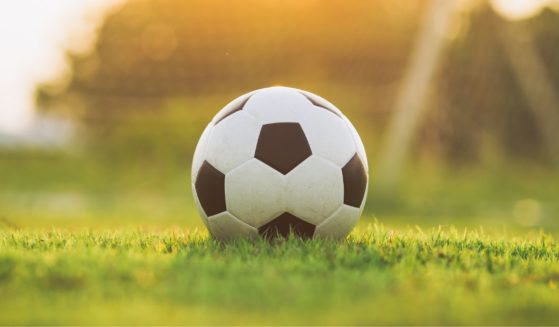 A stock photo shows a soccer ball sitting in the grass.
