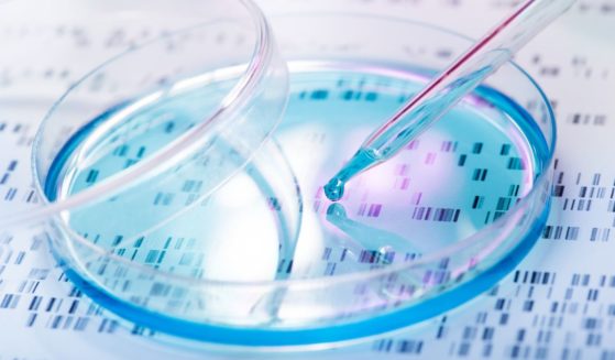 A stock image shows a DNA sample being pipetted into a petri dish with DNA gel in the background.