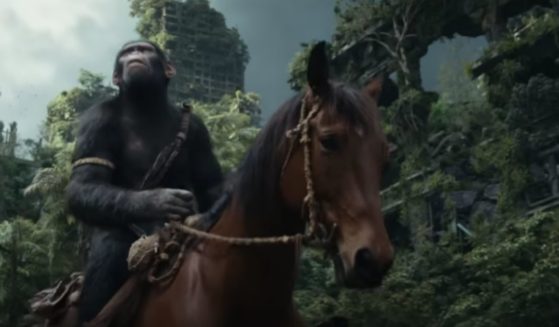 "Kingdom of the Planet of the Apes" premiered last week.