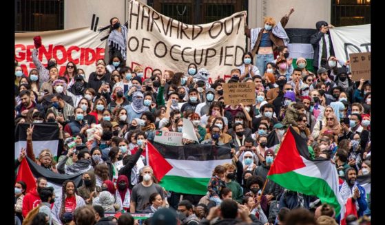 Protestors in favor of so-called "Palestine" gather at Harvard University in 2023.