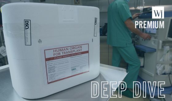 A styrofoam box used for transporting human organs sits on a cart in an operation room as a DSO employee stands nearby at the Vivantes Neukoelln clinic in Berlin, Germany, on Sept. 28, 2012.