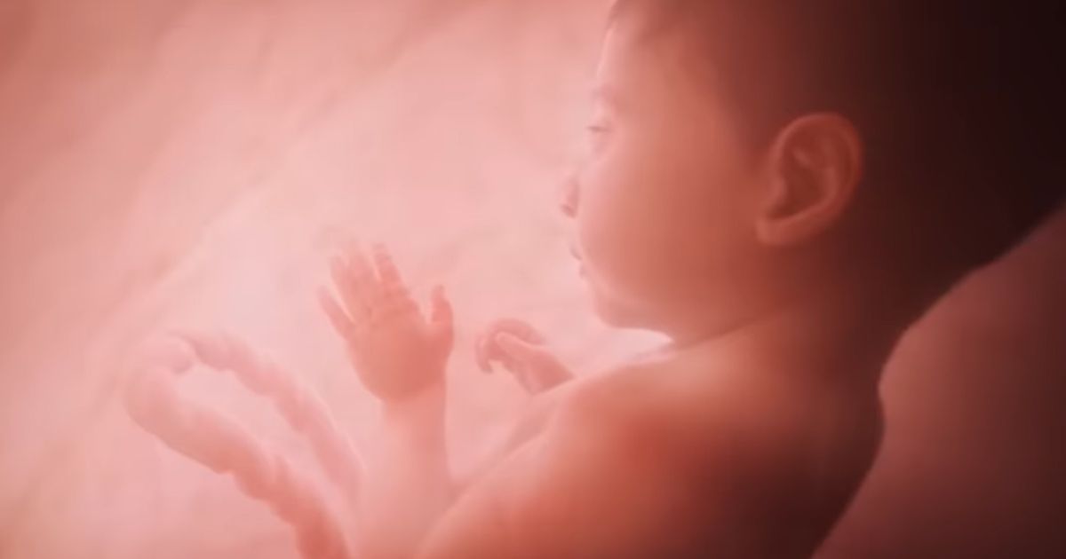 This is a monotone conceptual image of a baby inside the womb at 27 weeks created by the pro-life organization Live Action.