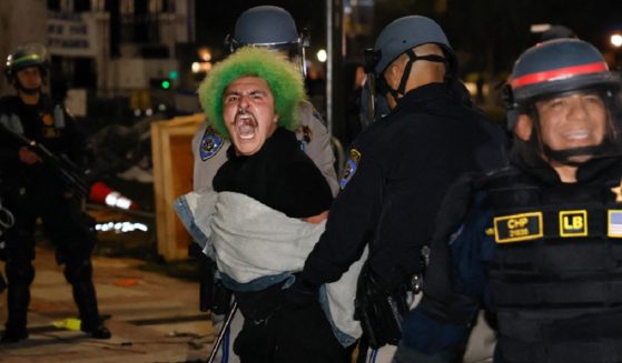 Ascreaming, green-wigged anti-Israel protester is arrested at the University of California, Los Angeles, campus early Wednesday.