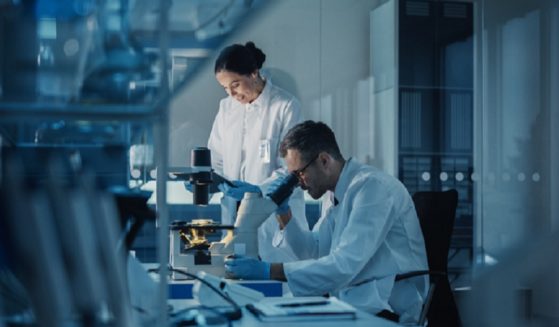 A scientist looks in a microscope in a lab.