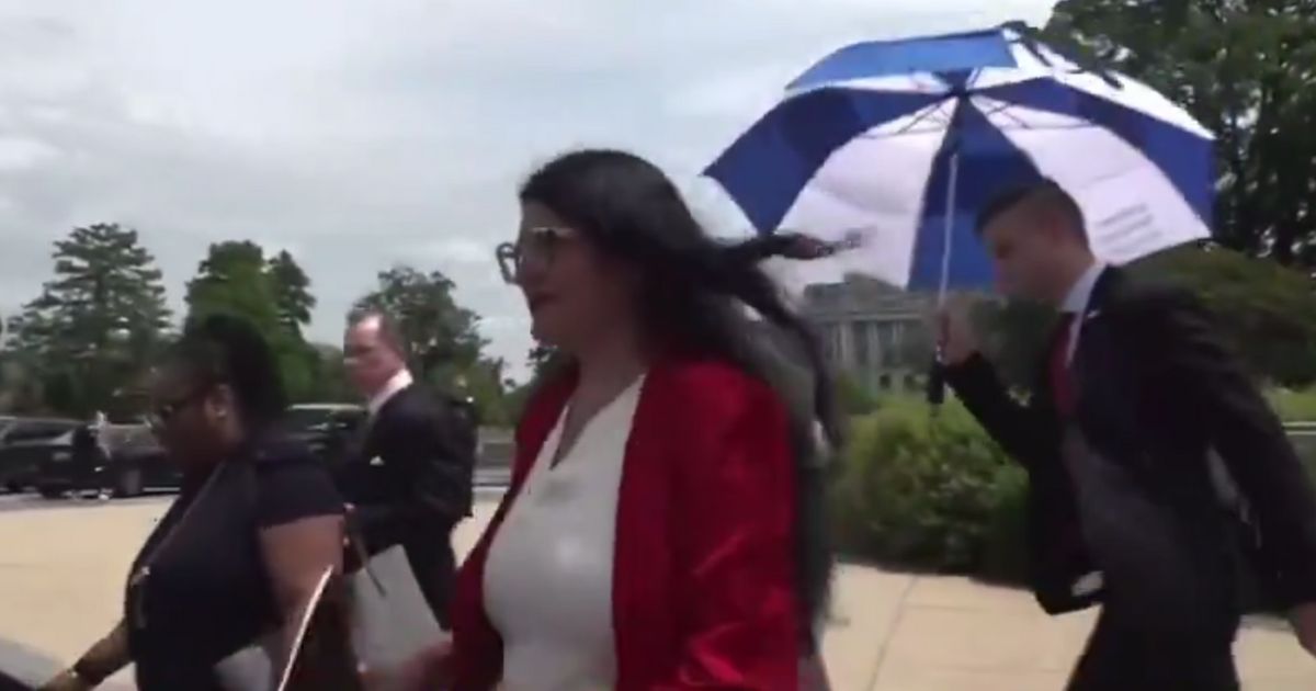 Rashida Tlaib staffer accused of assaulting Fox News cameraman during interview. Video evidence available