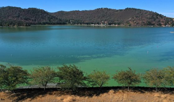 Northern California's Clear Lake is pictured in a September 2021 file photo during a previous algae bloom. The lake's most recent algae bloom can actually be seen from space, according to NASA.