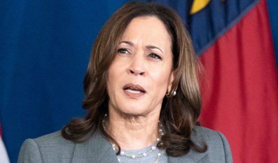 Vice President Kamala Harris speaks during a campaign event at James B. Dudley High School in Greensboro, North Carolina, on Thursday.