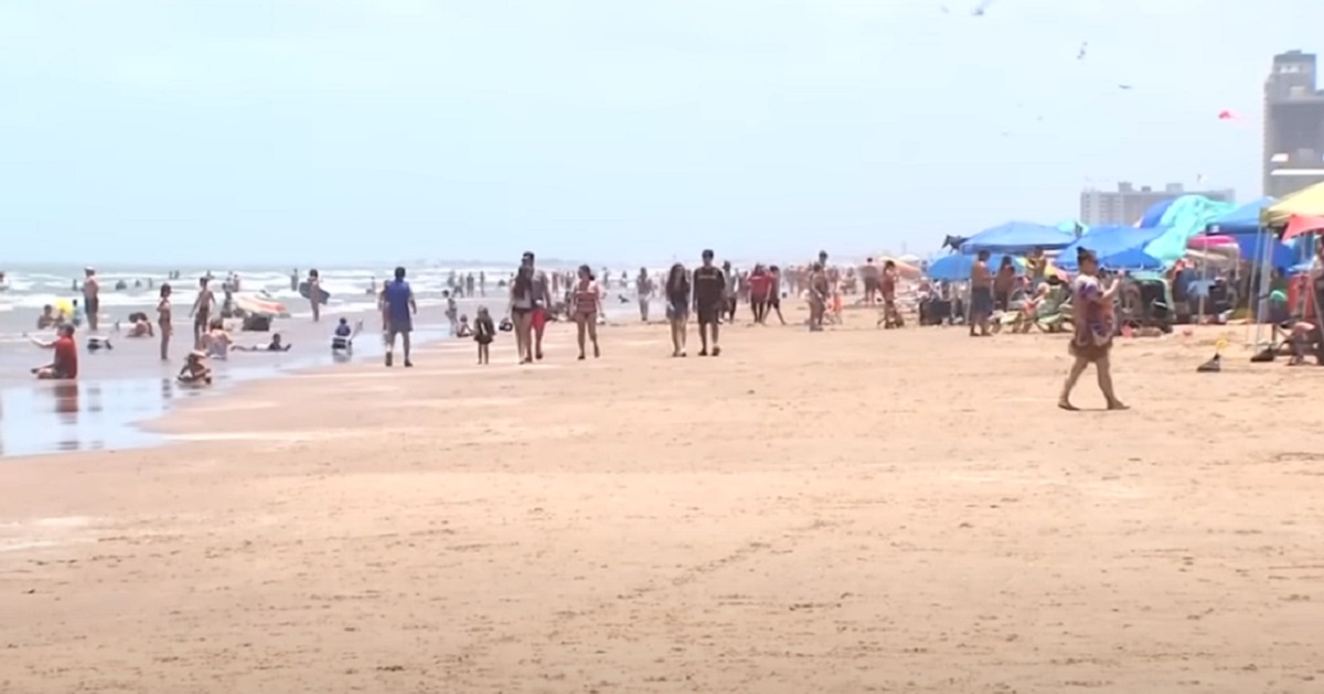 Single Shark Goes on 4th of July Rampage at Texas Beach, Attacks 4 People