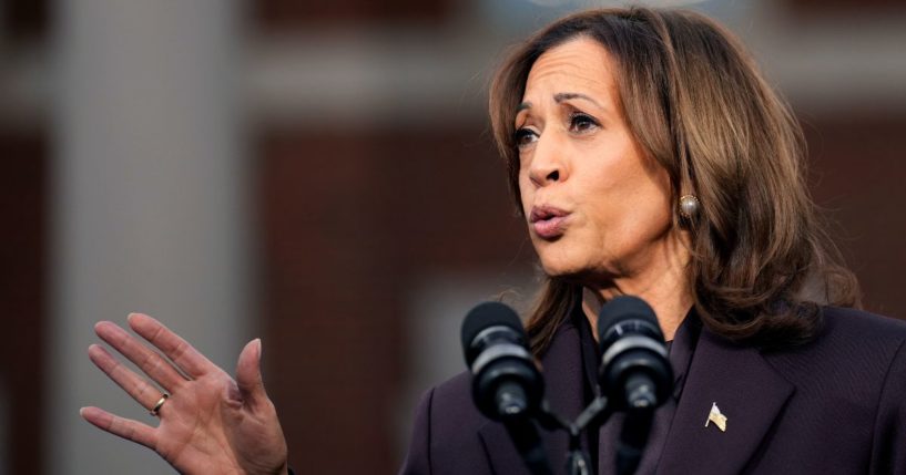 Former Vice President Kamala Harris pictured in a November 2024 file photo.