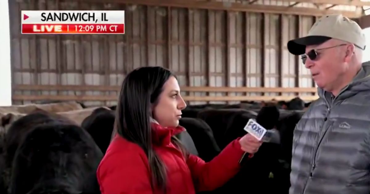Cattle Rancher Explains How Trump’s Tariffs Address Major Problems: ‘It Will Be a Great Time for Our Industry’