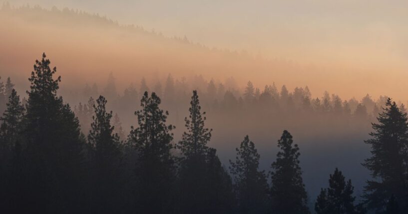 On Monday, smoke rises from a wildfire, which was started by a sniper to lure firefighters into an ambush, on the Canfield Mountain in Coeur D'Alene, Idaho.