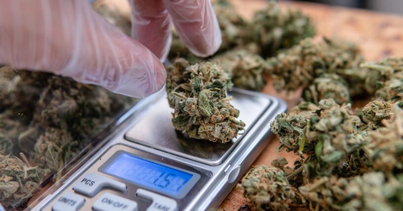 A man in Los Angeles, California, weighs cannabis on a scale.