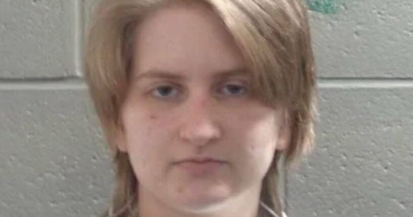 Olivia Wilkins was arrested for allegedly attempting to run over a Border Patrol officer who was working the scene of a car accident.