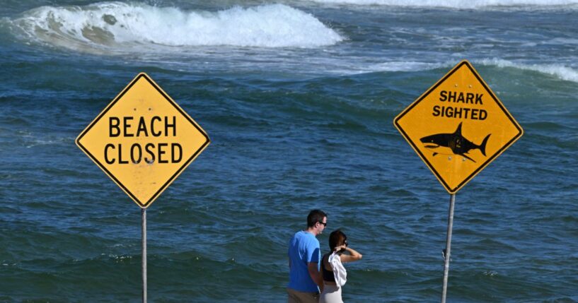 Visitors walk along the shoreline as northern Sydney beaches remain closed following a suspected shark attack at Long Reef Beach on Sept. 6, 2025.
