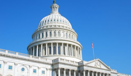 The U.S. Capitol is pictured in Washington, D.C.