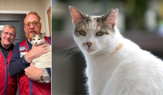 Mike Sida, left, and Wayne Schneider (holding Francine the Cat) set off at 4 a.m. Monday to bring the wayward kitty back to her home at Lowe's #1037 in RIchmond, Virginia.