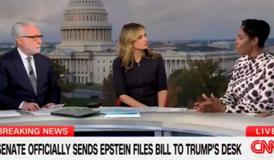 Del. Stacey Plaskett gave an uncompelling explanation on Nov. 19, 2025, for her 2019 text exchanges with Jeffrey Epstein.