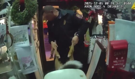 The unusual deer break-in happened at Gabriel’s Christmas, a year-round holiday business in the city of Jonesborough, Tennessee, police said on Dec. 5, 2025.