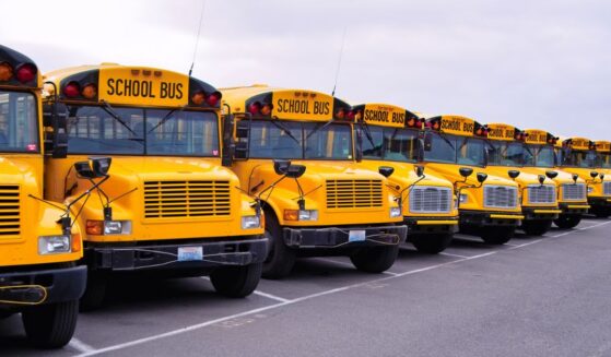 A row of yellow school buses.