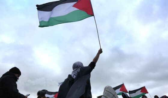 A protester waves a Palestinian flag while another holds a banner saying "Shut Elbit Down" during the demonstration on Jan. 23, 2026, in Sandwich, United Kingdom.