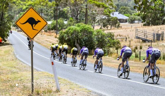 The peloton rides past a kangaroo caution road sign Sunday during stage five of the Tour Down Under UCI men's cycling race in Adelaide, Australia.
