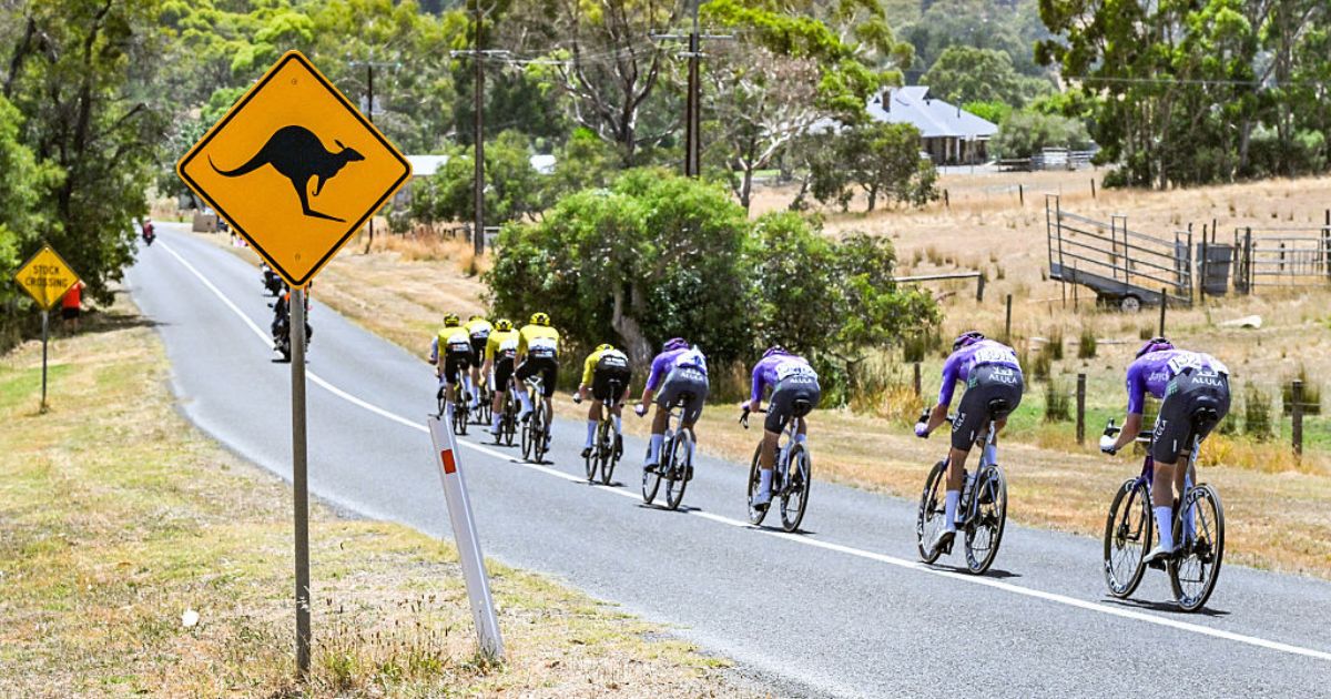 The peloton rides past a kangaroo caution road sign Sunday during stage five of the Tour Down Under UCI men's cycling race in Adelaide, Australia.