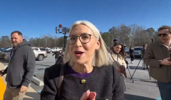 Fulton County Commissioner Dana Barrett brushed off the irregularities as "conspiracy theories.”