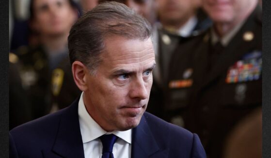 Hunter Biden, son of former President Joe Biden, seen in a 2024 photo, is once again facing a court battle, this time over his youngest known daughter.