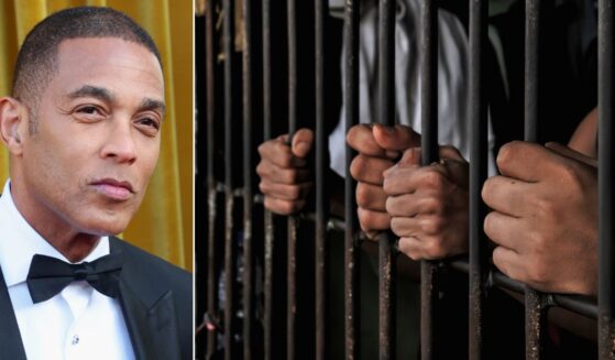 Former CNN personality Don Lemon claimed he has journalistic immunity from prosecution for accompanying activists who invaded a Minnesota church service Sunday, but a law that sent dozens to prison for protesting at abortion clinics includes language prohibiting the same behavior at houses of worship.